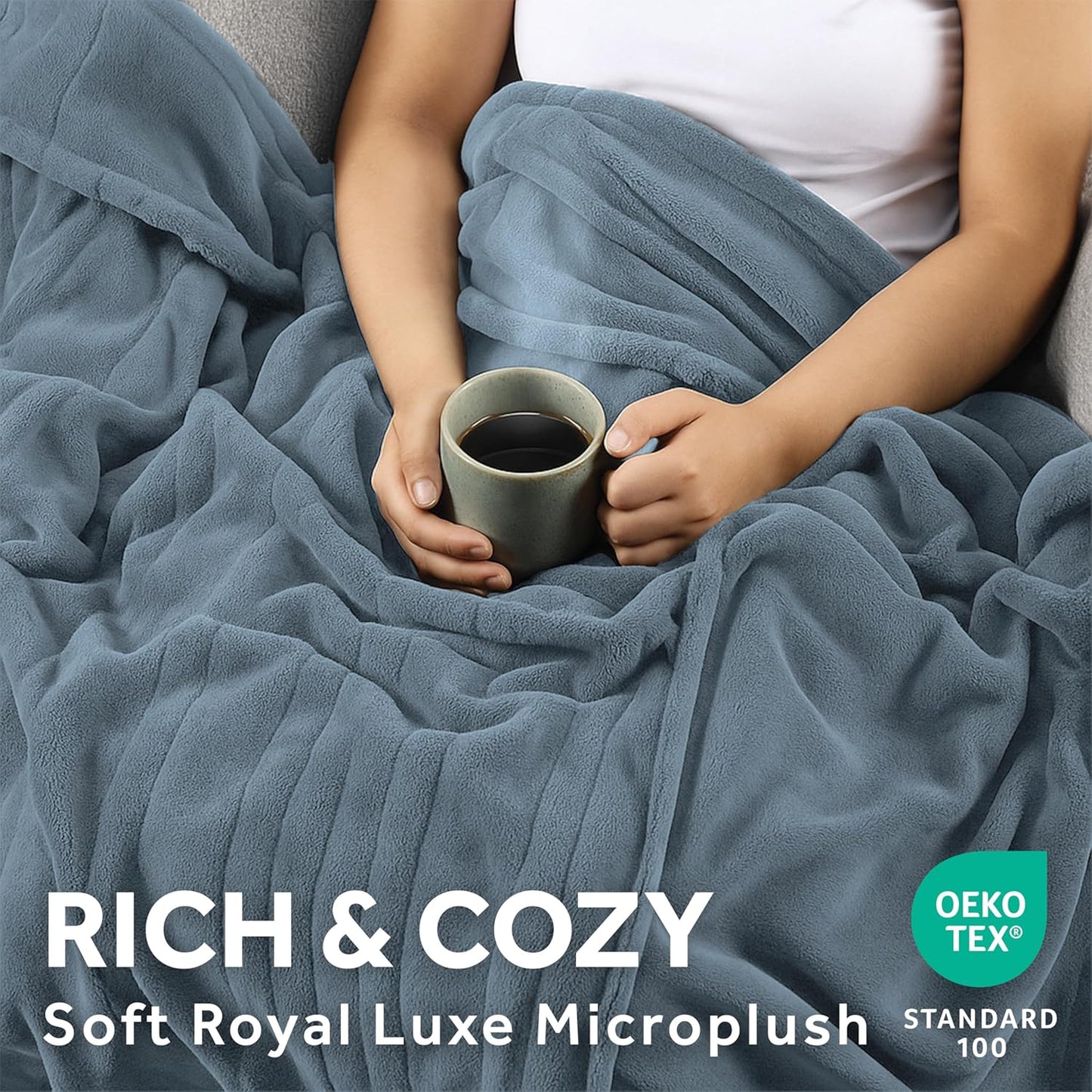 Sunbeam Electric Royal Luxe Microplush Heated Blanket, 12 Heat Settings, 12-Hour Auto Shut-Off, Fast Heating, Warm and Cozy, Cadet Blue Color, Twin (84" x 62")