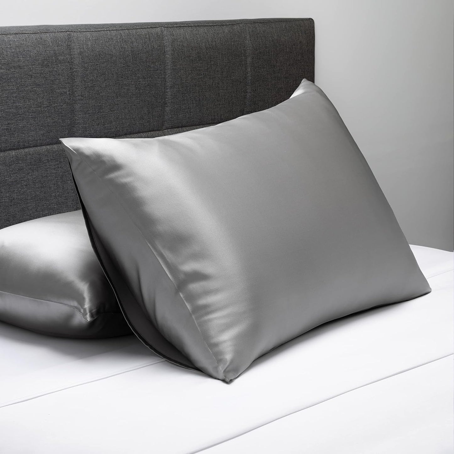 Fishers Finery 25mm 100% Pure Mulberry Silk Pillowcase (Silver Standard)