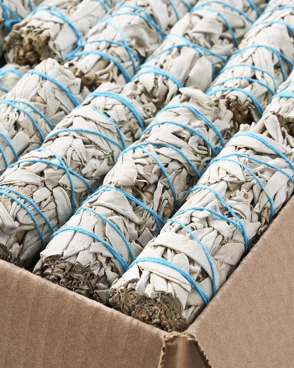 Blue River Sage 20 White Sage Smudge Sticks 4 Inch - Sustainably Grown Sage Bundles for Smudging, Cleansing Home Office, & Ceremony