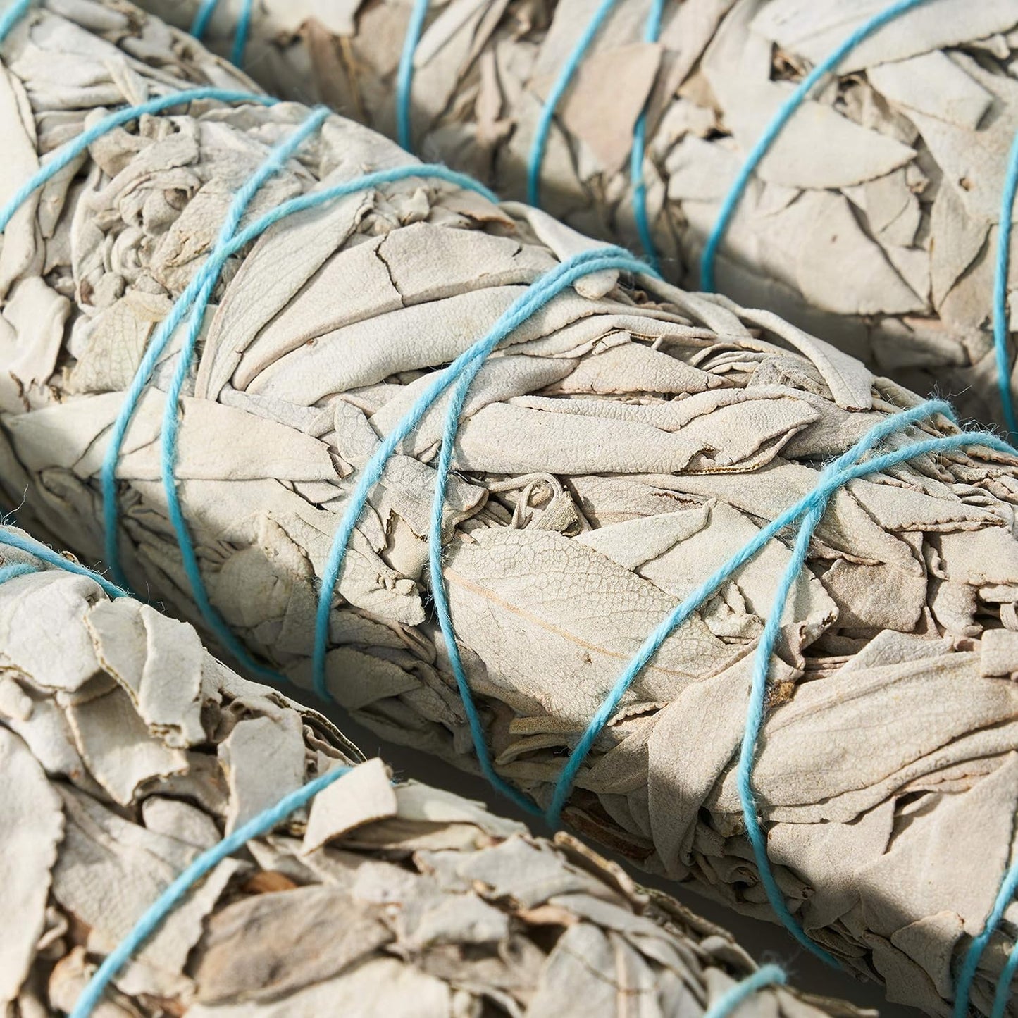 9-Inch White Sage Smudge Sticks ~ Sustainably Harvested ~ for Smudging & Cleansing ~ Instructions Included (6 Pack)