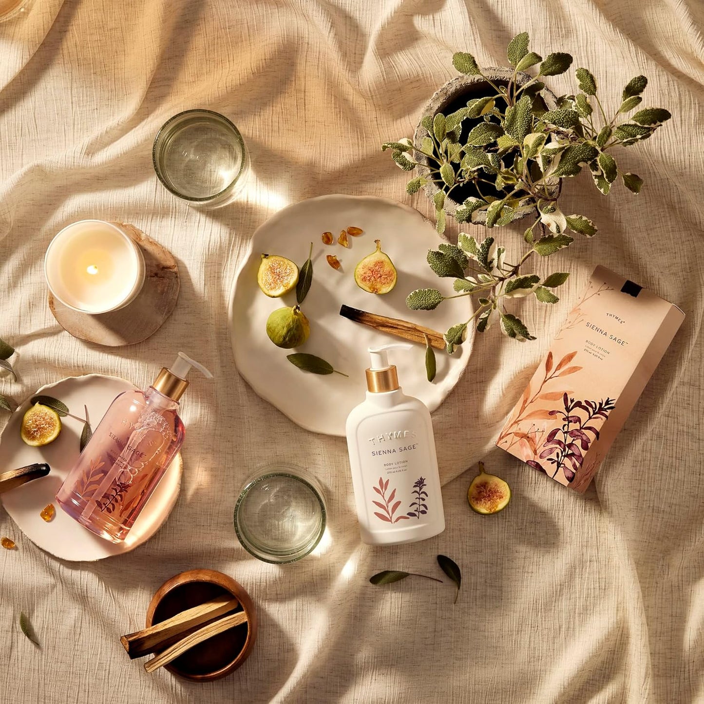 Thymes Aromatic Jar Candle - Sienna Sage Scented Candle for a Warm Home Fragrance - Notes of Palo Santo Wood, Clary Sage, and Amber - Matte White Candles (7.5 oz)