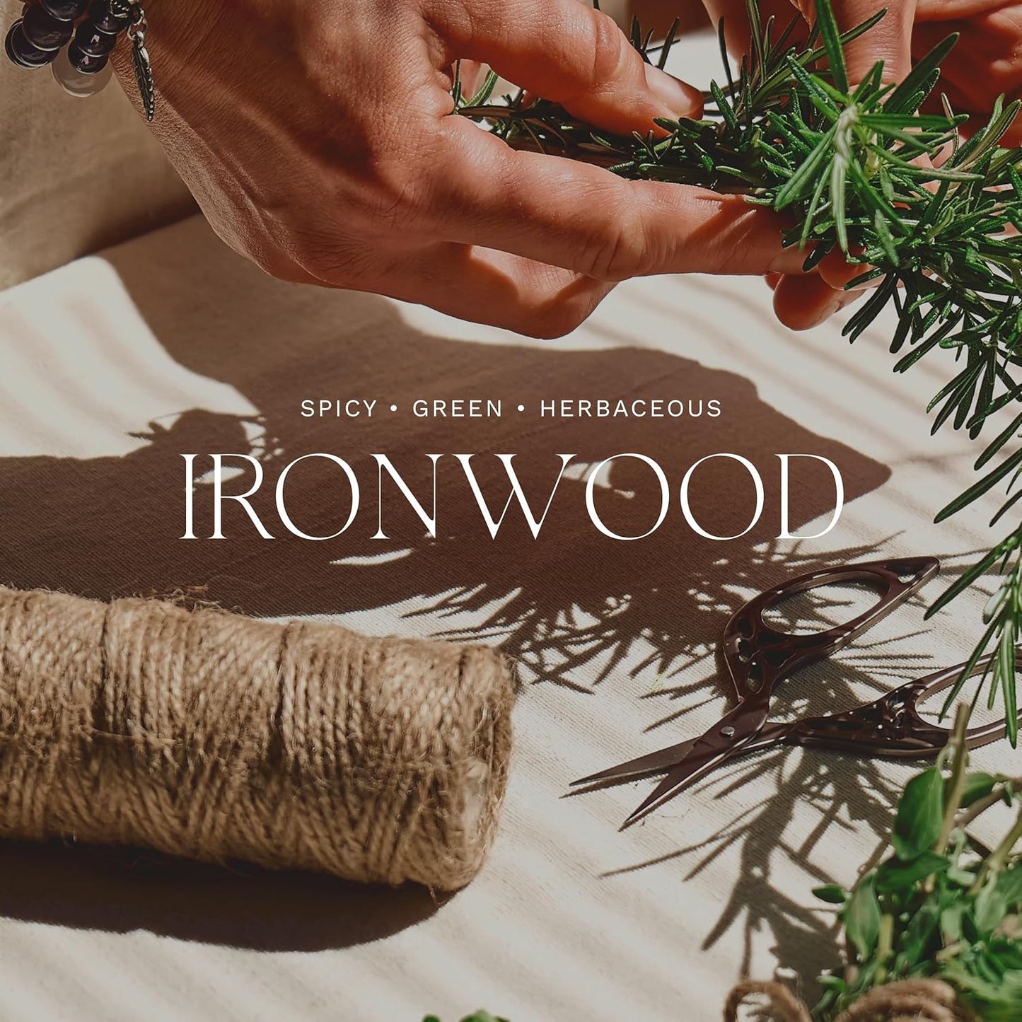 Antica Farmacista Home Ambiance Diffuser - Long-Lasting Reed Scent Diffuser - Luxury Room Freshener Gift - Ironwood, 3.4 fl oz