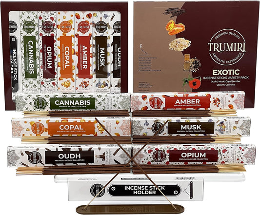 Exotic Incense Sticks Variety Pack - 120 Insence-Sticks (6 Incents x 20 Insense) - Copal Amber Oud (Agarwood) Musk - Natural Inscents-Sticks Non Toxic Incienso + Incense Holder for Men Women