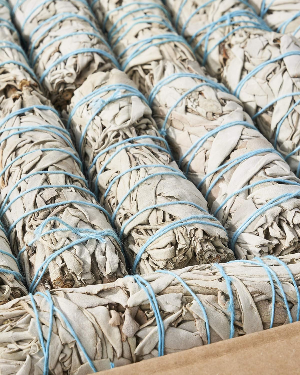 50 White Sage Smudge Sticks 4" ~ Sustainably Harvested ~ for Cleansing & Smudging with Instructions (4" 50 Pack)