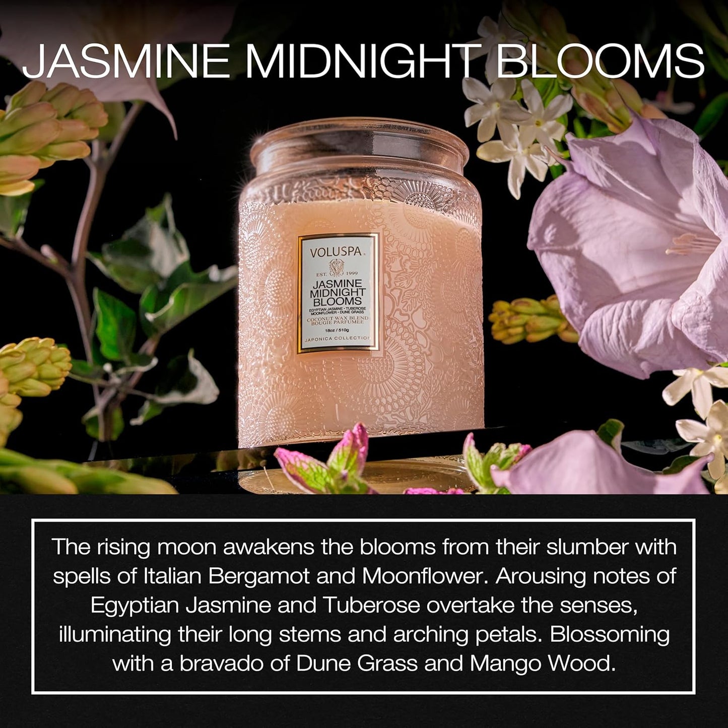 Japonica Collection Large - Jasmine Midnight Blooms by Voluspa for Unisex - 18 oz Candle